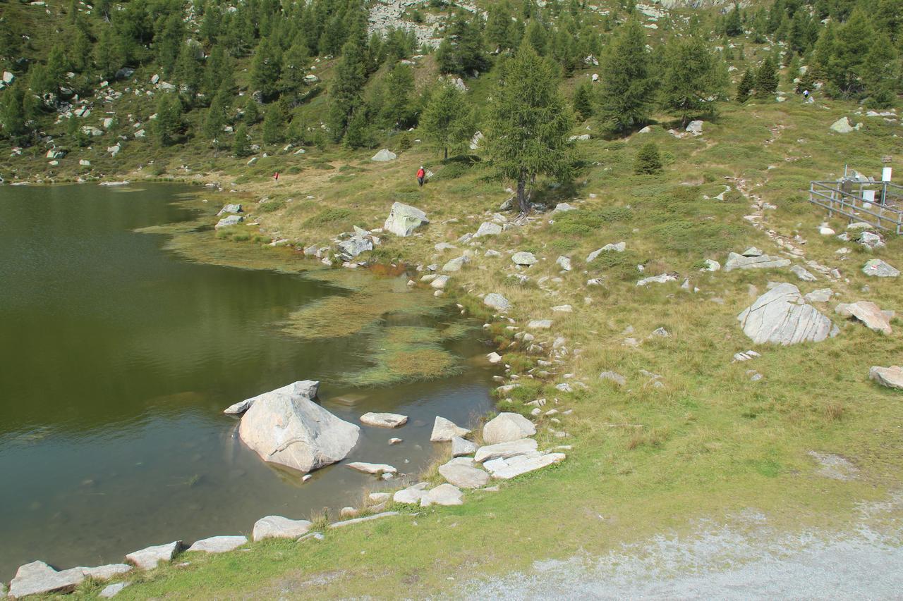 Hotel Rifugio Viviani Pradalago Madonna Exterior foto